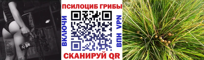 Купить где  Райчихинск  Галлюциногенные грибы GOLDEN TEACHER 
